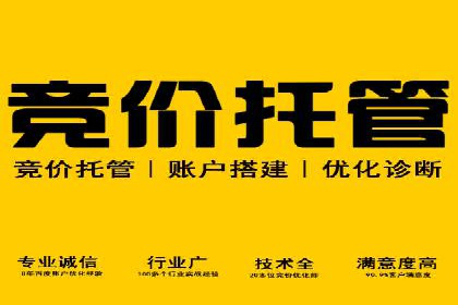 谷歌SEM案例解析：广告创意与文案技巧